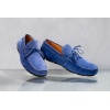 ANTS BLUE